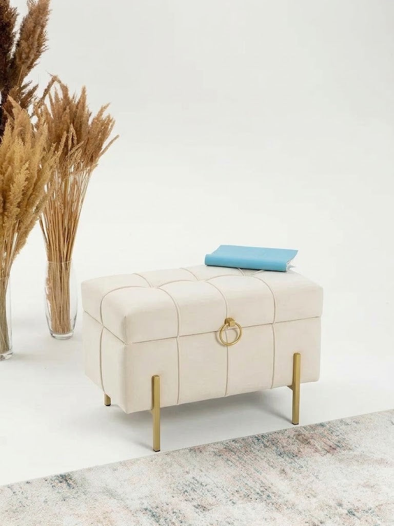 Pouf coffre luxe