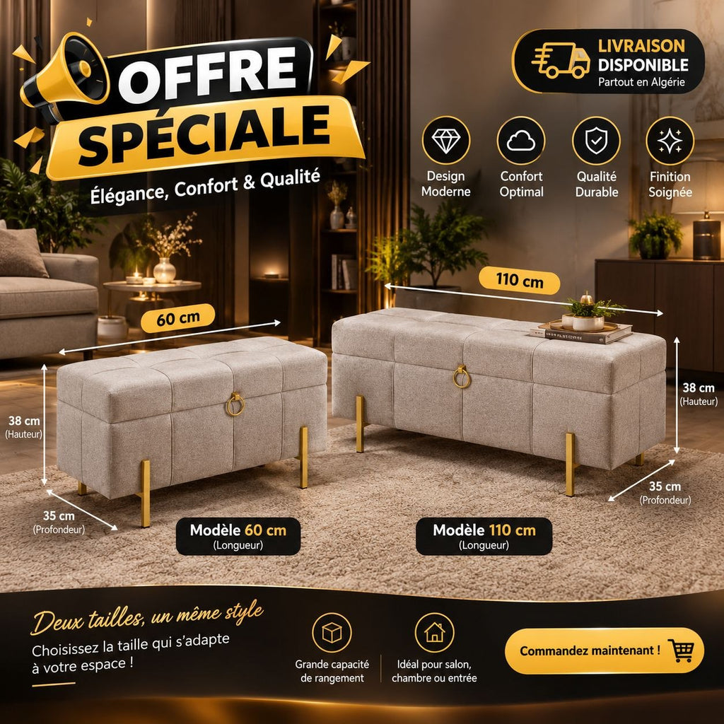 Pouf coffre luxe